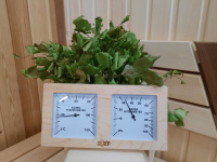 Термометр с гигрометром Банная станция Очки Квадрат канадский кедр, TH-21-R, 212F, Банный Эксперт