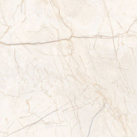 Керамогранит Исеть (Iset) 600x600 серый полированный G231PR