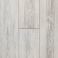 ДУБ ИБЕРИЙСКИЙ