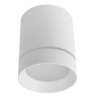 Точечный накладной светильник Arte Lamp ELLE A1949PL-1WH