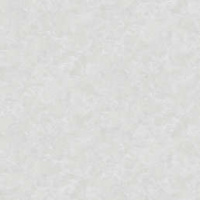 588557