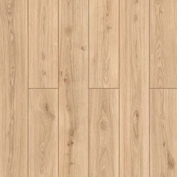 59847 Дуб Индор