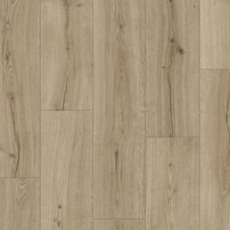 IM 8603 Дуб субтропический