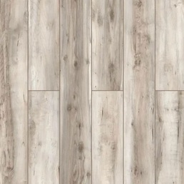 59817 Дуб Биас