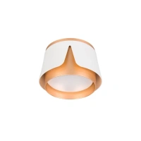 Потолочный светильник Arte Lamp AMAKS A8028PL-1WH