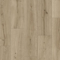 IMU 8603 Дуб субтропический