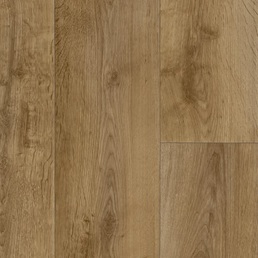 49W Дуб Прибрежный камыш