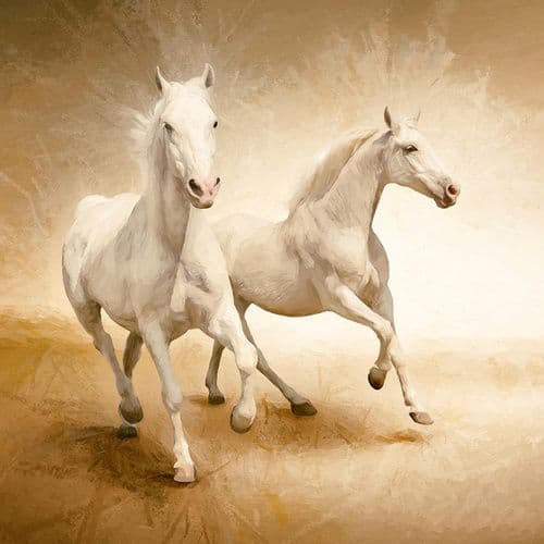Фотообои "Белые кони" Moda Interio