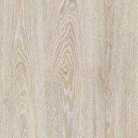 FP09.2 Дуб Онтарио