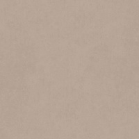 Керамогранит Cave White 300x300 неполированный CA00