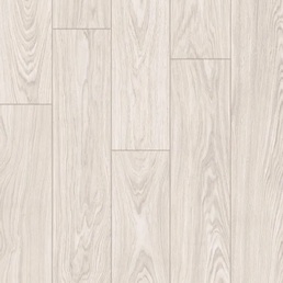 IM 8606 Дуб арктический туман