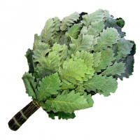 Веник банный из кавказского дуба премиум (оплетённая ручка) Банный Эксперт