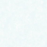 281703