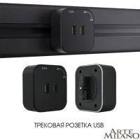 Розетка USB трековая Arte Milano 380022TS/USBx2 Black