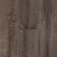 FP308 ДУБ БЕРБЕР