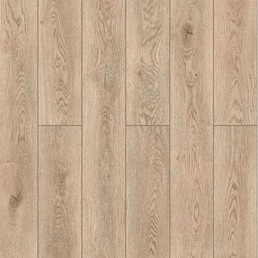 59747 Дуб Мумбаи