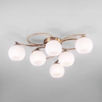 Потолочная люстра Eurosvet ALBA 30144/6 4690389135613