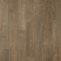 CXC153-2 Дуб Крем