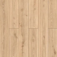 59847 Дуб Индор