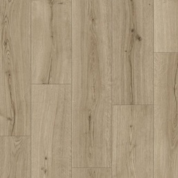 IMU 8603 Дуб субтропический