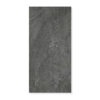 Панель стен SPC Альта Слэб Магия Бетона 60х120см (Метеорит)