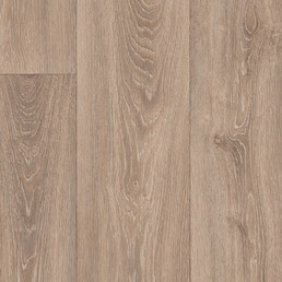 844 Дуб Сливовый