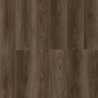 59767 Дуб Пуна