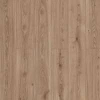 59857 Дуб Нармада