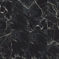 Marble 9181