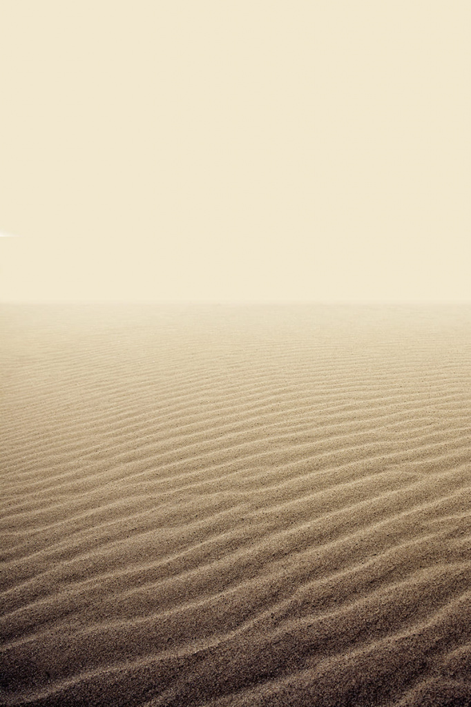 Картина Nature Sahara 760x1160 глянец черный (крепление через профиль)