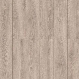 59877 Дуб Ченнаи