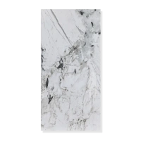 Панель стен SPC АльтаСлэб МраморнаяФеерия 60х120см (Этна)