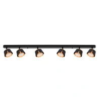 Спот Arte Lamp AMAKS A8028PL-6BK