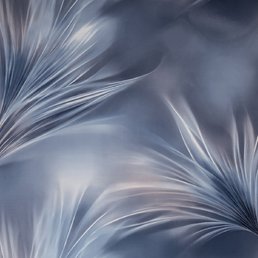 SL72483-64