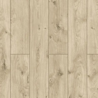 59797 Дуб Тапи