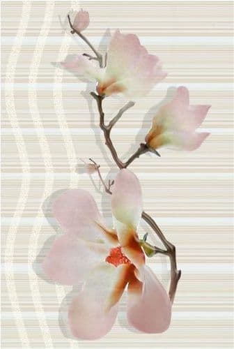 Magnolia LARS