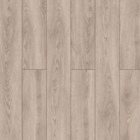 59877 Дуб Ченнаи