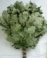 Веник дубовый в упаковке. Бацькина баня