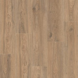 IMU 8466 Дуб скалистый