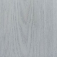 FP301