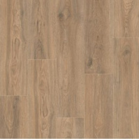 IM8466 Дуб скалистый