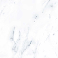 Керамогранит Пайер (Payer) 600x600 серый полированный G283PR