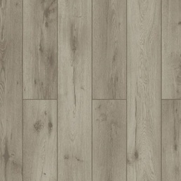 59787 Дуб Годавари