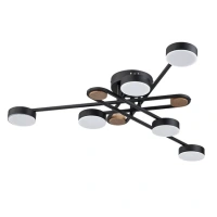 Потолочная люстра Arte Lamp TAYGETA A2455PL-6BK