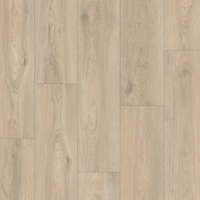 IMU 8467 Дуб кедровый