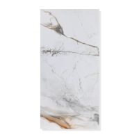 Панель стен SPC АльтаСлэб Мраморная Феерия 30х60см (Орисаба)