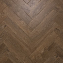 519 Дуб Блэкберн