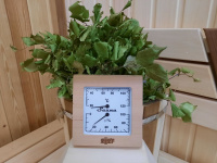 Термометр с гигрометром Банная станция Квадрат канадский кедр, TH-11R, 212F, Банный Эксперт