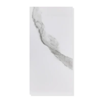 Панель стен SPC АльтаСлэб МраморнаяФеерия 60х120см (Рейнир)
