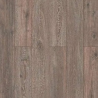 59837 Дуб Сурат